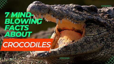 Snappy Secrets: 7 Jaw-Dropping Crocodile Facts That'll Blow Your Mind!