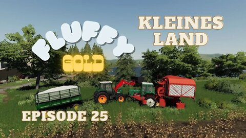 Kleines Land / Episode 25 / Fluffy Gold / Lets Play / PC / FS19