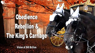 Obedience, Rebellion and the King's Carriage... Training to become a Draft Horse ❤️ Bill Britton