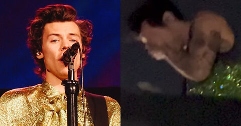 Harry Styles Hit In The Face With Flying Object While Performing On Stage