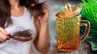 How to Use Horsetail to Stop Hair Loss and Make It Grow