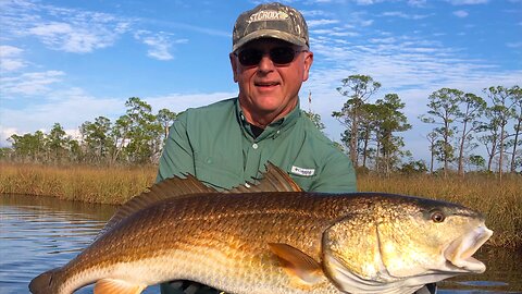 1st bull red of the new year!