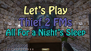 Knockout Thief 25 - All for a night sleep
