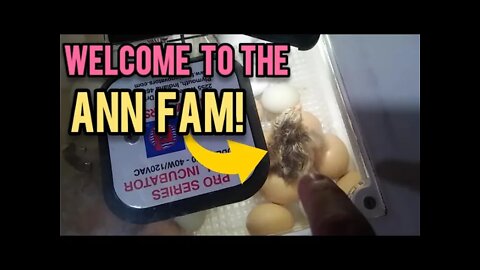 Welcome to the Ann Fam! - Ann's Tiny Life and Homestead