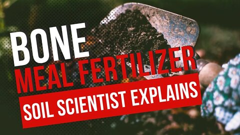 How To Use Bone Meal Fertilizer. Does Bone Meal Stop Blossom End Rot? Is Bone Meal A Complete Fert?