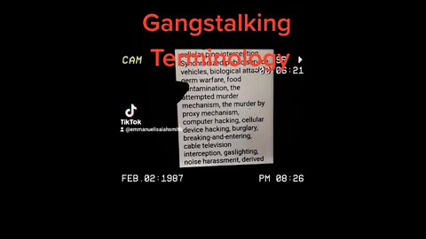 Gang-stalking in Action : The TikTok Edition on YouTube : Gang-stalking Local Terminology