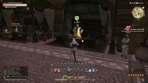 Final Fantasy XIV Online MMORPG The Wealth of Nations