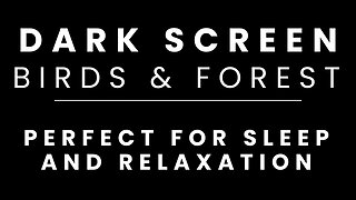 Birds & Forest Sleeping BLACK SCREEN 4HR 39MIN | Sleep and Relaxation | Dark Screen Nature Sounds
