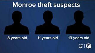3 young children's wild interstate crime spree ended by Monroe County deputies