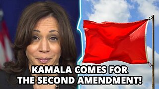 Kamala Harris Announces Anti-2A 'Red Flag Resource Center'