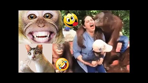 Funny Video