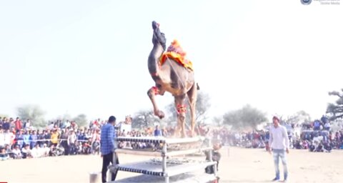 Indian UTI dance