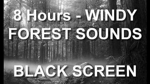 Windy Forest Sounds - Very peaceful & relaxing - 8 hours BLACK SCREEN