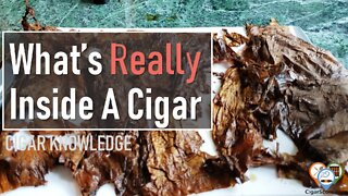 What's REALLY Inside a CIGAR?