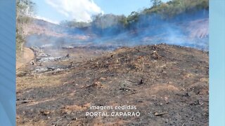 Alto Caparaó: mais de r$ 150 mil em multas aplicadas por desmatamentos e queimadas