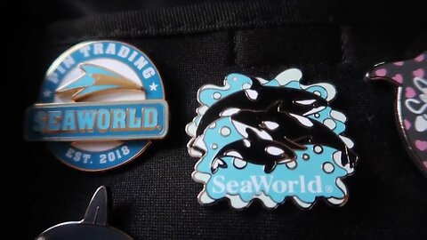 SeaWorld Pin Collection (old video)