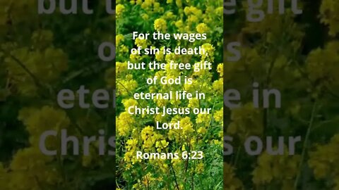 ETERNAL LIFE IS HIS FREE GIFT!! | MEMORIZE HIS VERSES TODAY | Romans 6:23