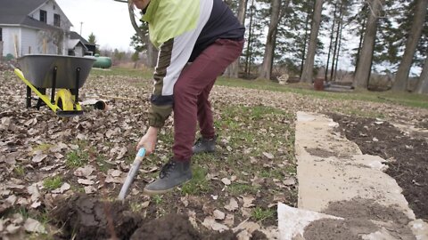 Flipping our Garden beds by hand and planting carrots