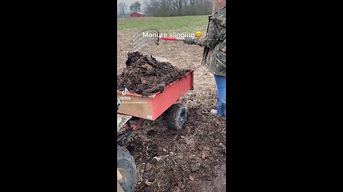 Free compost but you have to work for it.