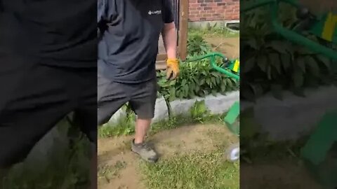 Sod job in full! | LEAF IT ALONE