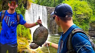 Fish, Snakes and Snapping Turtles in an Ohio river waterfall!
