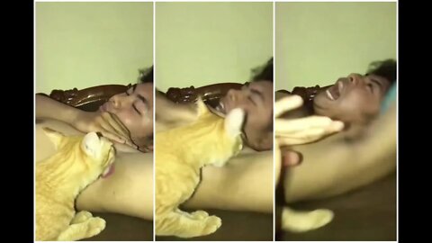Man Got Bit By a Cat 🐈