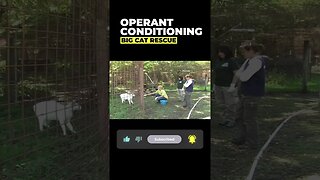 Operant Conditioning~part 7 of 15