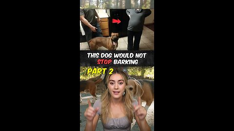 Dog Won’t Stop Barking… Part 2