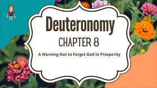 Deuteronomy Chapter 8 | NRSV Bible Reading