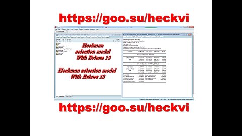 Heckman selection model With Eviews 13