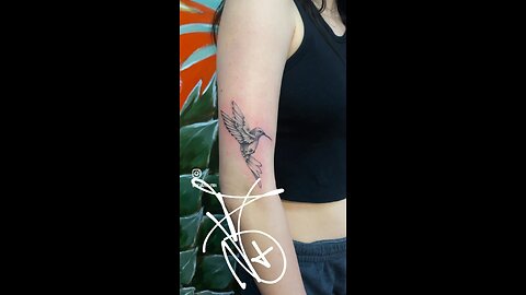 Hummingbird Tattoo