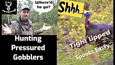 What Does Hunting Pressure Do To Gobblers?