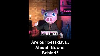 Oinker Poll - Our Best Days