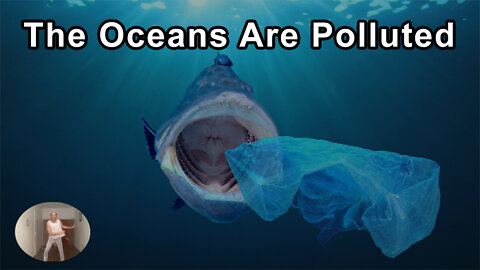 The Oceans Are Polluted And Fish Are Concentrating The Pollution In Their Tissues - Gabriel Cousens