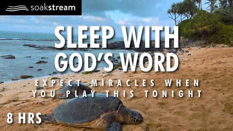 EXPECT MIRACLES! Sleep With God's Word - With Rain, Thunder, & Ocean Waves