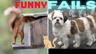 Funny animal fail compilation || funny fails || funarmy