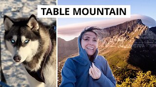 Why you MUST SEE TABLE MOUNTAIN + Husky sled racing on the beach in South Africa