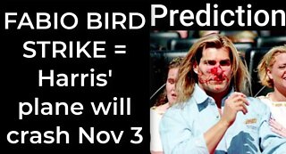 Prediction - FABIO BIRD STRIKE = Harris’ plane will crash Nov 3