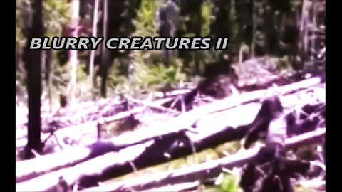 World Bigfoot Radio #152 Pt. 2 ~ Blurry Creatures interview/ Duke