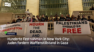 Hunderte Festnahmen in New York City: Juden fordern Waffenstillstand in Gaza
