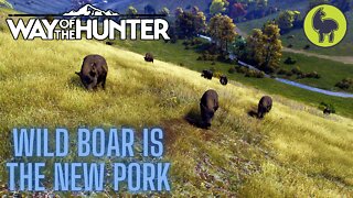 Wild Boar is the New Pork, Campsite Tasks, Transylvania | Way of the Hunter (PS5 4K)
