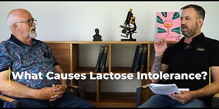What Causes Lactose Intolerance?