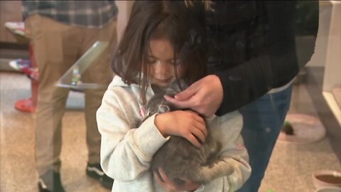 Marshall Fire Victims Who Lost Pet Cats adopt Kittens