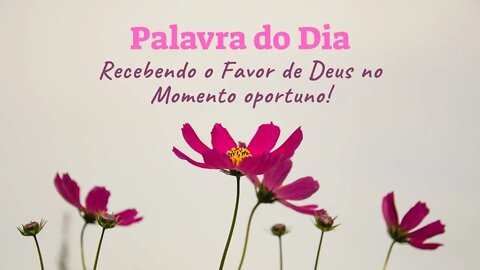 Palavra do Dia Hoje - Recebendo o Favor de Deus no Momento oportuno