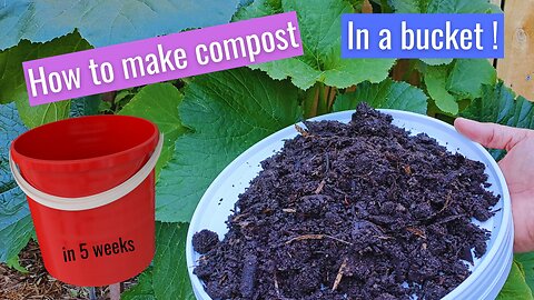 How to make compost in a bucket in 5 weeks for beginners