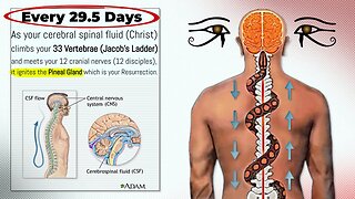 Every 29.5 Days, This Happens With Your Pineal Gland