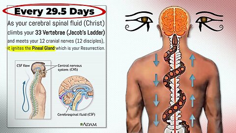 Every 29.5 Days, This Happens With Your Pineal Gland