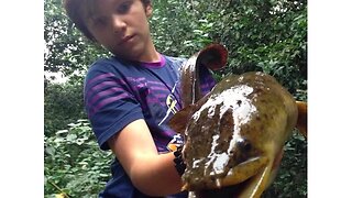 Catching HUGE EELS Out of small Creek (CRAZY)