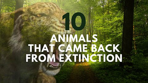 10 Animals That Have Been Revived From The Brink of Extinction