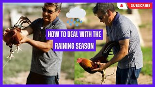 How to DEAL With the RAINING SEASON on Your GAMEFARM